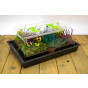 37 Watt Heated Propagator - £45.00