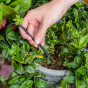 Pots & Container Watering Kit