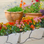 FloPro Plug & Go Water: Pots & Container Kit