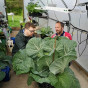 AirRAP Root Aeration Pots & Saucers