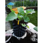 AirRAP Root Aeration Pots & Saucers