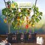 Quadgrow Self Watering Planter 
