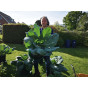 AirRAP Root Aeration Pots & Saucers