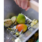 Value Apple & Pear Crusher - Fruit Juice & Cider Making Kit