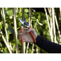 Gardeners Bypass Secateurs - Burgon and Ball