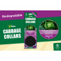 Cabbage Collars 