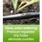 Drip Irrigation kit for Growbag - Click and Drip complete Watering Kit - Garden Irrigation