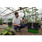Duogrow Self-Watering Planter