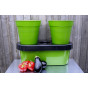 2x Duogrow Self-Watering Vegetable Planters