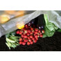 35gsm Gardening Fleece Frost Protection Blanket
