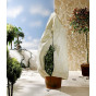 Plant Frost Fleece Cover Medium 