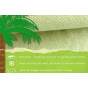 35gsm Gardening Fleece Frost Protection Blanket