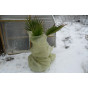 35gsm Gardening Fleece Frost Protection Blanket
