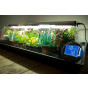 Geopod Heated Propagator with 90cm Propagation Light