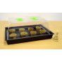 37 Watt Heated Propagator - £45.00