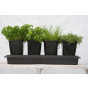 Herbgrow  - Herb Planter
