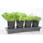 Herbgrow  - Herb Planter