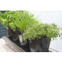 Herbgrow  - Herb Planter