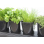 Herbgrow  - Herb Planter