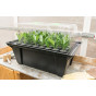 Hydropod 40 cuttings Propagator