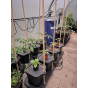 Quadgrow Mulch Cap & Cane Support Kit