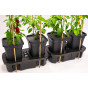 Quadgrow Self Watering Planter 