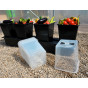 Our protective lids feature vents to control humidity