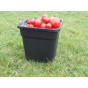 11 Litre Square Grow Pots - set of 4 