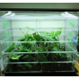 Vitopod Heated Propagator